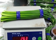 청년을 성장시키는 55쪽 센티미터 장기간 중국 마늘