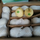 HACCP 노란색 중국 백배 주스 이과 과일