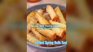 중국어 냉동 스프링롤 포장지 공장 | EU 표준, 영국 테이크아웃 및 패스트푸드에 적합한 쇼케이스