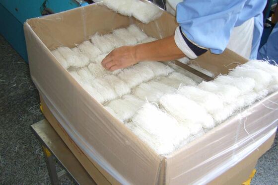 할랄 호텔 그린 콩 버미첼리 중국 롱쿠 버미첼리 공장 공급자