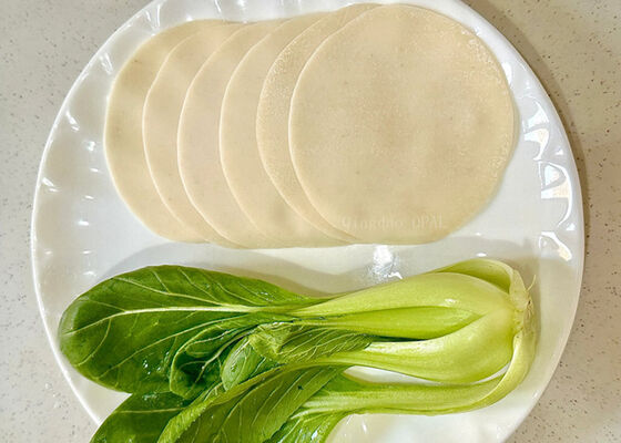 만두 포장지 - HALAL 인증 EU 표준 제조업체