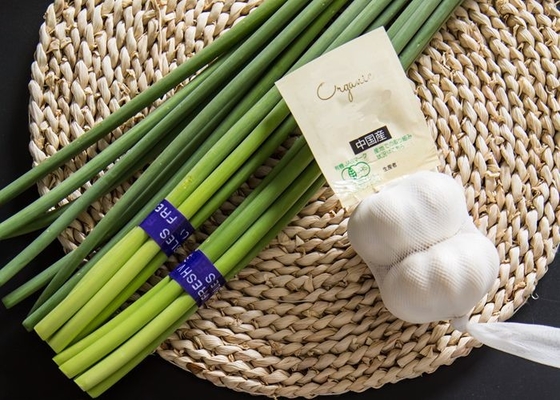 HACCP 새로운 마늘 볼트