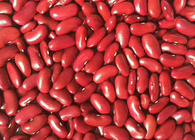 예멘으로 수출되는 붉은 강낭콩